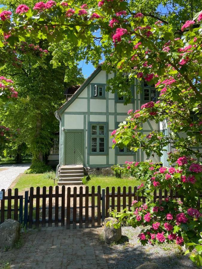 Jagdschloss Friedrichsmoor Neustadt-Glewe Εξωτερικό φωτογραφία